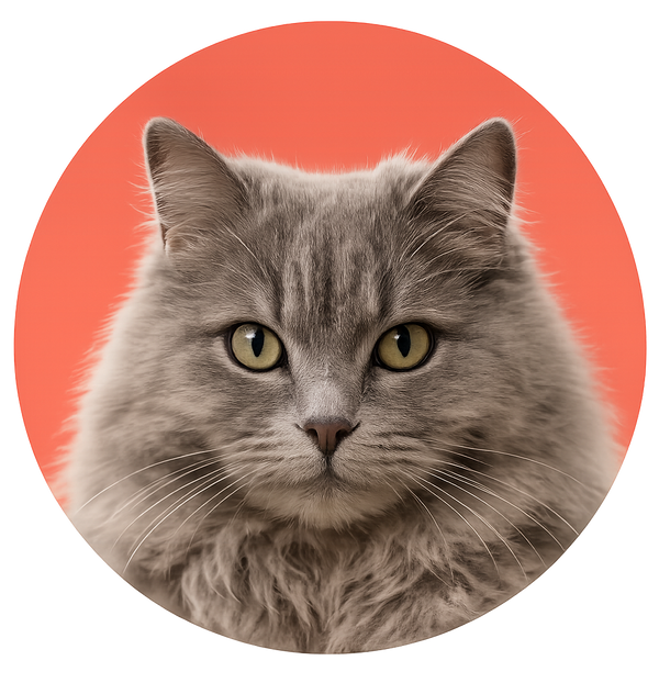 Chats