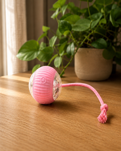 La Balle Vagabonde™ — Votre chien joue. Vous vous reposez. Sans culpabilité.