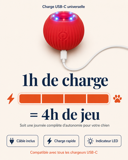La Balle Vagabonde™ — Votre chien joue. Vous vous reposez. Sans culpabilité.