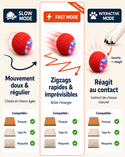 La Balle Vagabonde™ — Votre chien joue. Vous vous reposez. Sans culpabilité.