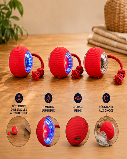 La Balle Vagabonde™ — Votre chien joue. Vous vous reposez. Sans culpabilité.
