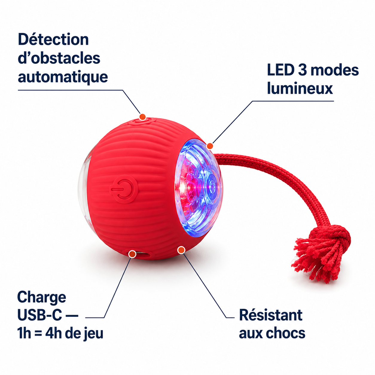 La Balle Vagabonde™ — Votre chien joue. Vous vous reposez. Sans culpabilité.